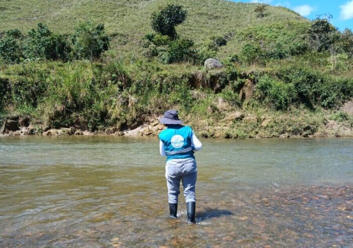 Cornare Investiga Mortandad De Peces Nativos En La Región